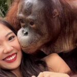 Un orangután se ha vuelto viral por lo que les hace a las mujeres que se toman fotos con él